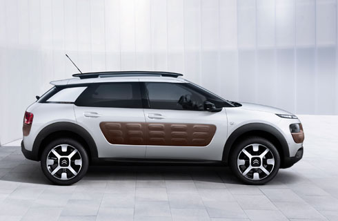 C4 Cactus