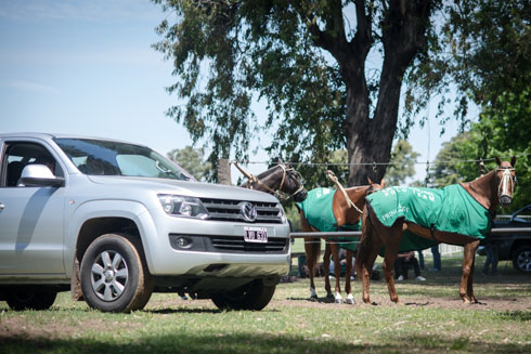 La Natividad Amarok Polo Team
