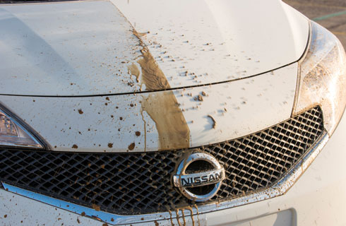 Nissan Auto-Limpiable Nissan Auto-Limpiable