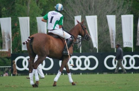 Audi junto a la Copa Diamante