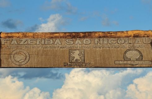 Peugeot reinvertirá un millón de euros en su Pozo de Carbono en el Amazonas