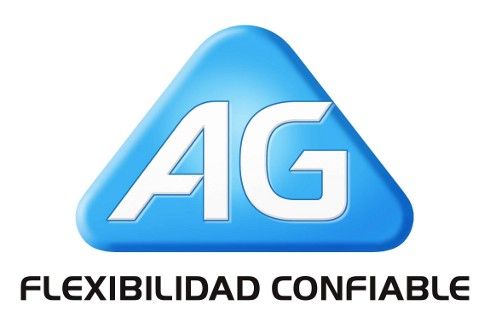 AG chequea tu auto gratis