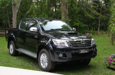 Totoya junto al campo