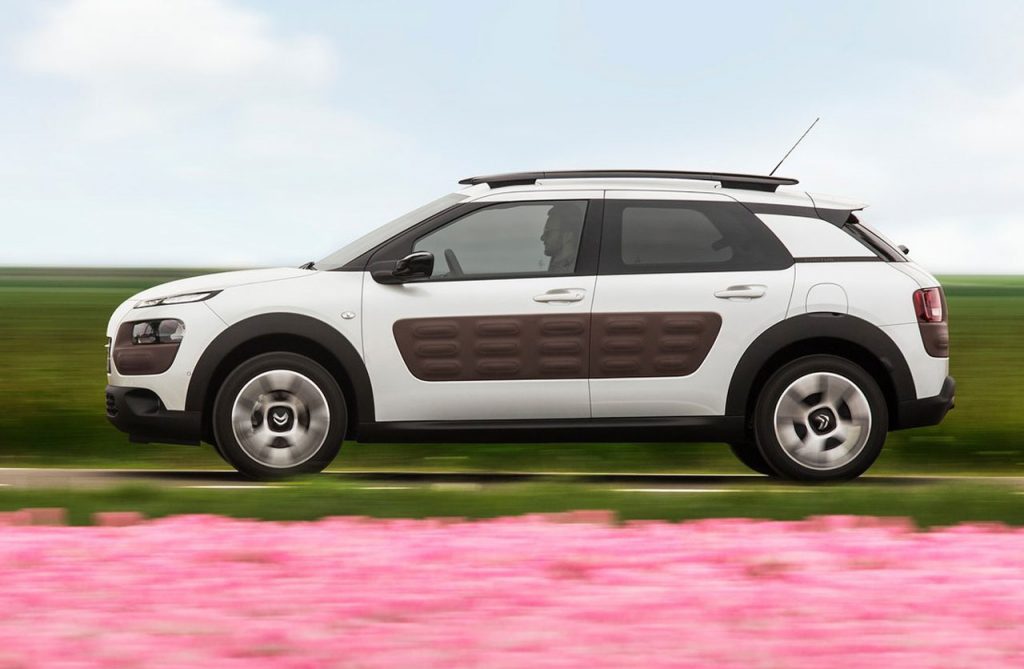 C4 Cactus