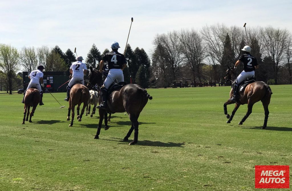 Ellerstina Polo